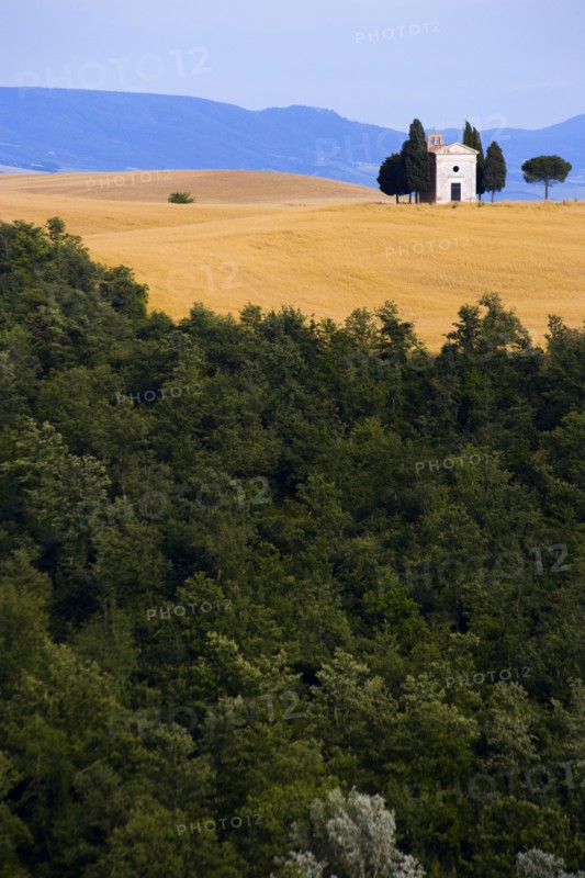 ITALY, Tuscany, Val D'Orcia, Deserted church on hilltop set in field of ripe wheat in valley near Pienza.