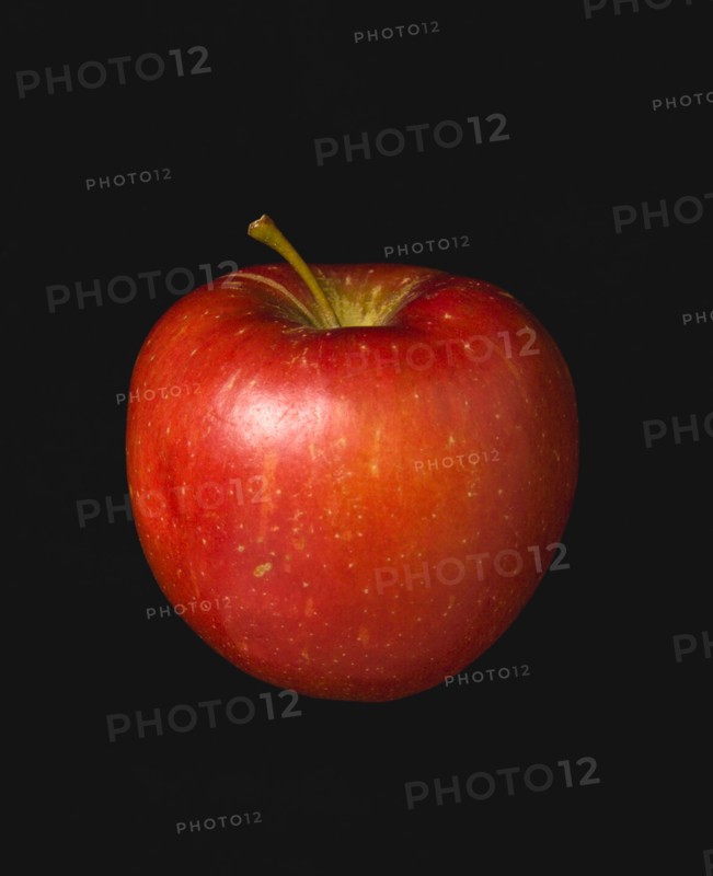 Food, Fruit, Apples, One single ripe red apple against a black background.