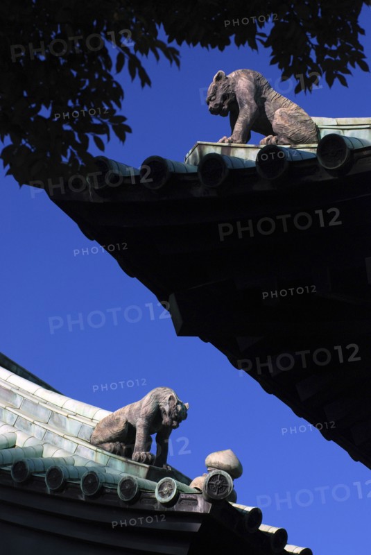 Japan, Tokyo, Kanda, Yushima Seido Confucian Shrine, detail of roof of compound surrounding wall, distinctive guardian tiger figures at corners.