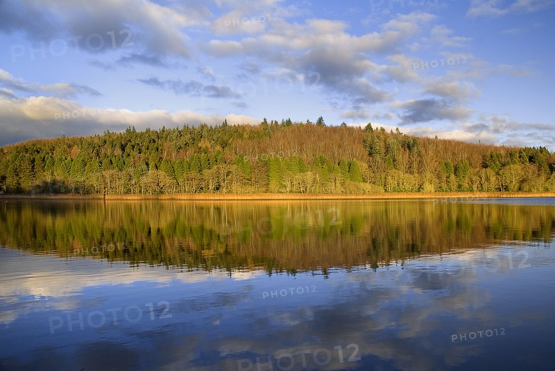 IRELAND, County Monaghan, Castle Blayney, Autumn colours at Lough Muckno.