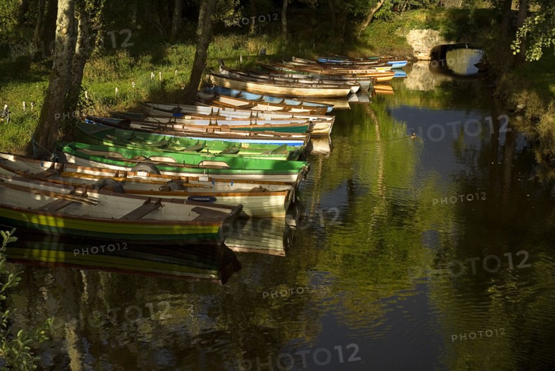 IRELAND, County Kerry, Killarney, Rowing boats at Ross Castle.