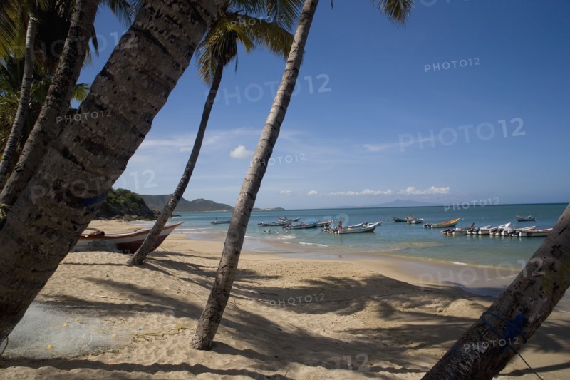 VENEZUELA, Margarita Island, Playa la Galera, View of exotic beach with palm trees and their shades on the sand, just in front of fishing boats floating at the tropical crystal clear seawaters, shot on a bright day with blue sky and white clouds.