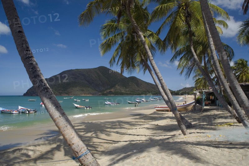 VENEZUELA, Margarita Island, Playa la Galera, View of exotic beach with palm trees and their shades on the sand, just in front of fishing boats floating at the tropical crystal clear seawaters, shot on a bright day with blue sky and white clouds.