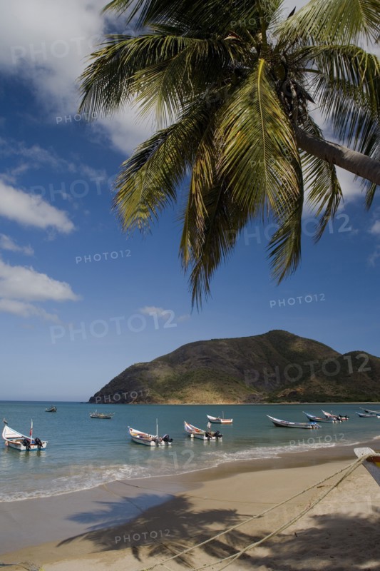 VENEZUELA, Margarita Island, Playa la Galera, View of exotic beach with palm trees and their shades on the sand, just in front of fishing boats floating at the tropical crystal clear seawaters, shot on a bright day with blue sky and white clouds.