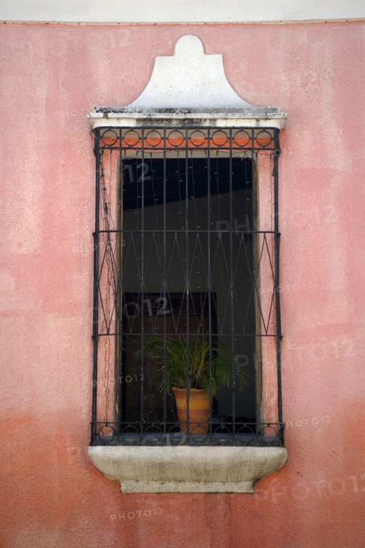 VENEZUELA, Bolivar State, Ciudad Bolivar, open window with a plant in a pot behind the black iron bars surrounded by an old pink wall.