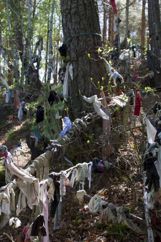 Scotland, Black Isle, Munlochy, Clootie Well, Clothing hanging from trees as part of an ancient pre Christian tradition. Pilgrims a make offerings to the  spring or well in the hope to have an illness cured.