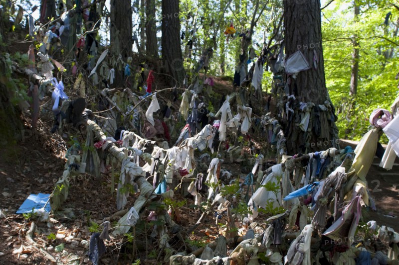 Scotland, Black Isle, Munlochy, Clootie Well, Clothing hanging from trees as part of an ancient pre Christian tradition. Pilgrims a make offerings to the  spring or well in the hope to have an illness cured.