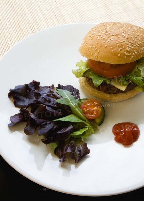 Food, Cooked, Hamburger, Single quarter pound cheeseburger with tomato and lettuce in a bun on a white plate with a leaf salad garnish and tomato ketchup sauce.