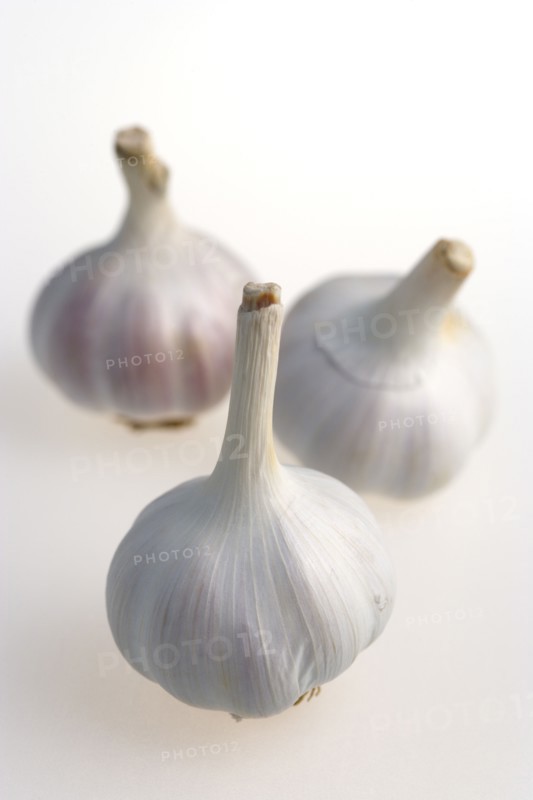 Food, Herbs, Garlic, Three bulbs of garlic Allium sativum against a white background.