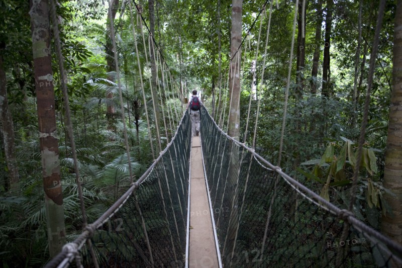 Malaysia, Central Pahang, Taman Negara, People wandering on the canopy walkways of the worlds oldest rainforest.