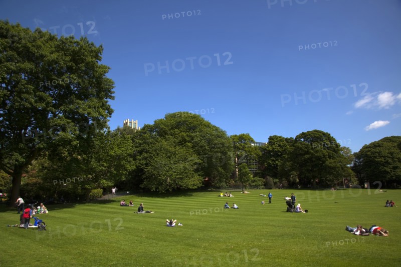 Ireland, North, Belfast, Botanic Gardens with people relaxing in the sun.