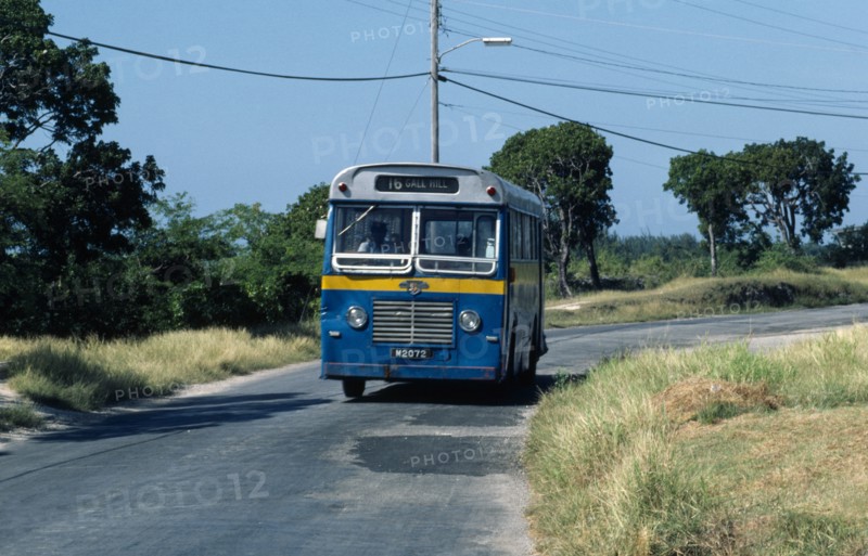 Local bus. Barbadian Blue West Indies