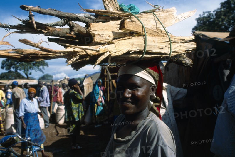 Great Lakes Region, West, Tanzania. Refugee woman carrying bundle of firewood on her head. Refugees from the Congo and Rwanda fleeing conflict in Burundi Zaire African Burundian Central Africa Eastern Africa Female Women Girl Lady Rwandan Tanzanian Uburundi Zairean