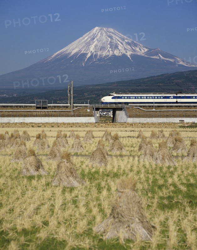 Mount Fuji, Honshu, Japan. Mount Fuji with Shinkansen bullet train passing through rice fields. Japan Japanese Honshu Asia Asian Nihon Nippon Mount Fuji Fujiyama Fuji-san Shinkansen Bullet Trian Transport Rail Railway High Speed Rice Field Volcano Volcanic Cone Mountain Snow Capped Destination Destinations Farming Agraian Agricultural Growing Husbandry Land Producing Raising Scenic