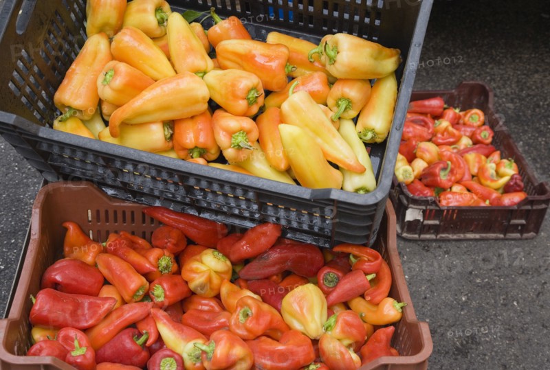 Budapest, Pest County, Hungary. Crates of yellow red and orange Capsicum annuum bell pepper or chili pepper on fresh produce stall at the rail terminus Budapest Nyugati palyaudvar. When dried ground to make paprika the word paprika is often used to refer to the bell peppers themselves. Hungary Hungarian Europe European East Eastern Buda Pest Budapest City Vegetable Vegatbles Fuit Chili Chillis Chillies Pepper Peppers Red Capsicum Annuum Bell Paprika Nyugati Palyaudvar Yellow Color Destination Destinations Eastern Europe