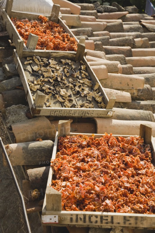 Sirince, Aydin Province, Turkey. Shallow wooden crates of chilies and mushrooms drying in late afternoon summer sunshine on tiled rooftops of house in the old town. Turkey Turkish Eurasia Eurasian Europe Asia Turkiye Aydin Province Selcuk Chili Chilis Chilli Chillis Chillie Chillies Dried Drying Mushroom Mushroom Fungi Pepper Peppers Capsicum Capsicums Red Color Colour Colored Coloured Orange European Middle East South Eastern Europe Western Asia