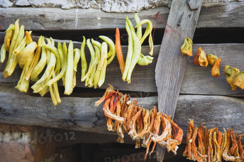 Sirince, Aydin Province, Turkey. Strings of chilies hanging up to dry in late afternoon summer sunshine against wooden window frame of building in the old town. Turkey Turkish Eurasia Eurasian Europe Asia Turkiye Aydin Province Kusadasi Chili Chilis Chilli Chillis Chillie Chillies Dried Drying Hanging Hung Pepper Peppers Capsicum Capsicums Red Color Colour Colored Coloured Orange Green Destination Destinations European Middle East South Eastern Europe Western Asia
