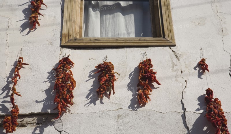 Kusadadsi, Aydin Province, Turkey. Red chilli peppers hung on strings to dry in summer sunshine around window frame of whitewashed house in the old town and casting shadow against the cracked plaster wall. Turkey Turkish Eurasia Eurasian Europe Asia Turkiye Aydin Province Kusadasi Chili Chilli Chilis Chillis Chilie Chillies Pepper Peppers Capsicum Capsicums Window Drying Red Color Destination Destinations European Middle East South Eastern Europe Western Asia
