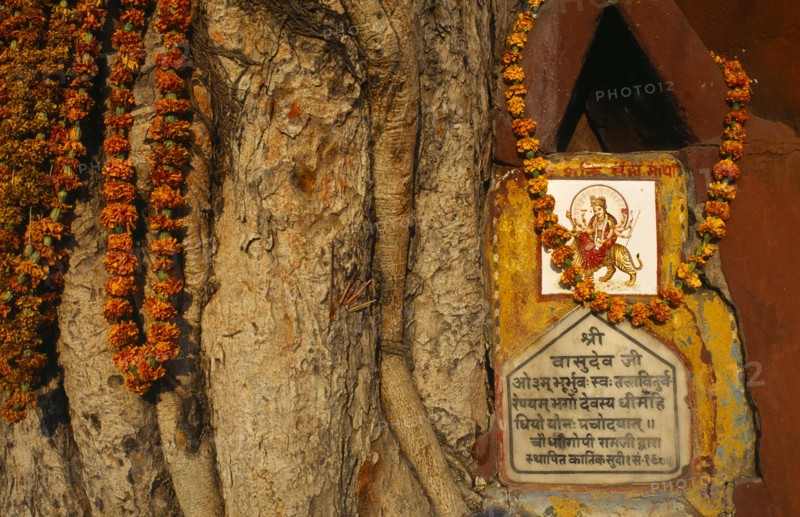 Varanasi, Uttar Pradesh, India. Detail of roadside Hindu Shrine adorned with flower garlands. Asia Asian Bharat Inde Indian Intiya Religion Religion Religious Hinduism Hindus