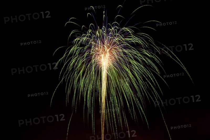 Colourful display of Pyrotechnics Shoreham Beach West Sussex England. England English UK United Kingdom GB Great Britain British Europe European Festival Festivals Guy Fawkes November Firework Display Fireworks Pyrotechnic Pyrotechnics Pyrotechnical Color Colour Coloured Colored Colourful Colorful Pattern Sky Black Green
