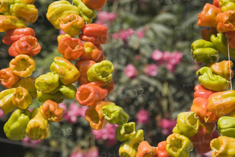 Selcuk, Izmir Province, Turkey. Ephesus. Strings of brightly coloured Capsicum annuum cultivars of chillies hanging up to dry in late afternoon summer sun. Asian Color Colored Destination Destinations European Middle East South Eastern Europe Turkish Turkiye Western Asia