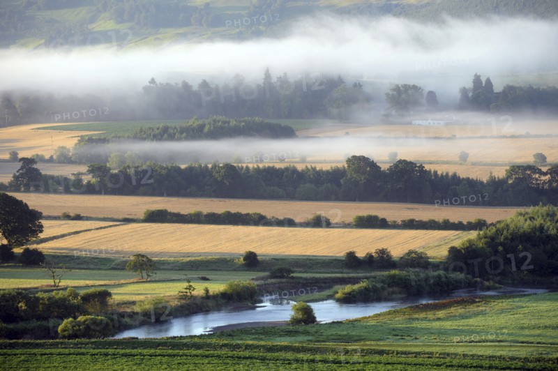 Mist, Weather, Scotland. View over farmland on misty morning. Scotland Scottish Great Britain UK GB United Kingdom Weather Mist Misty Fog Foggy Climatic Inversion Climate Cloud Clouds Atmosphere Atmospheric Morning Early Famland Fields Alba British Isles Color European Great Britain Northern Europe Scenic United Kingdom White Colour