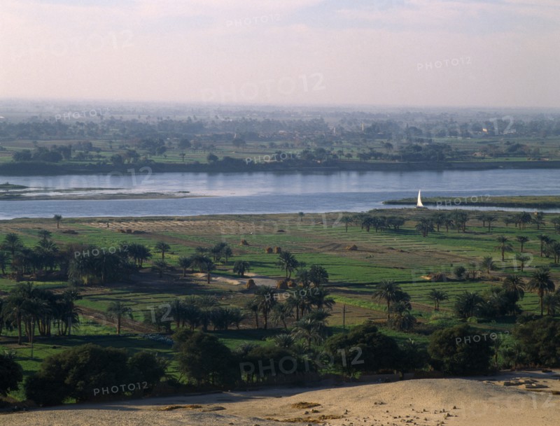Beni Hasan, Nile Valley, Egypt. View over agricultural land in the flood plain of the River Nile African Farming Agraian Agricultural Growing Husbandry Land Producing Raising Middle East North Africa Scenic