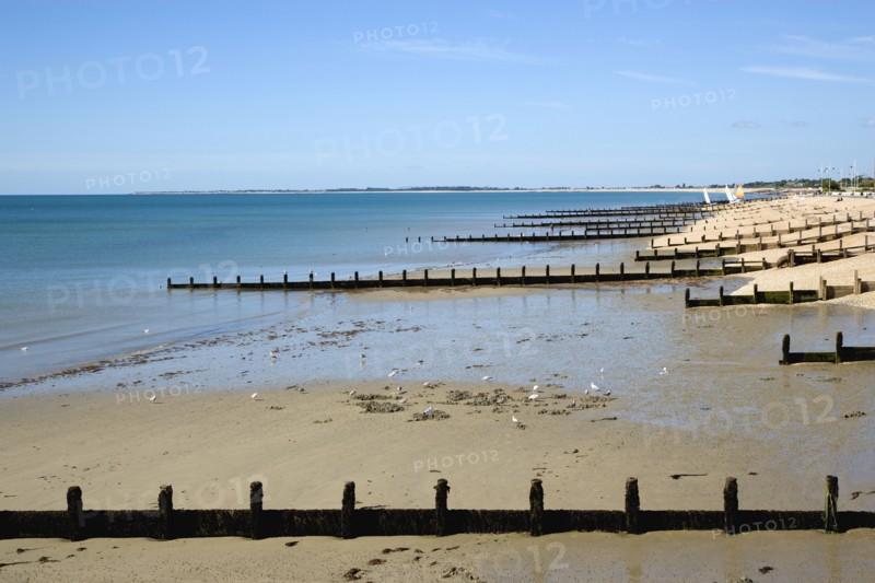 England, West Sussex, Bognor Regis, Wooden groynes at low tide used as sea defences against erosion of the shingle pebble beach.