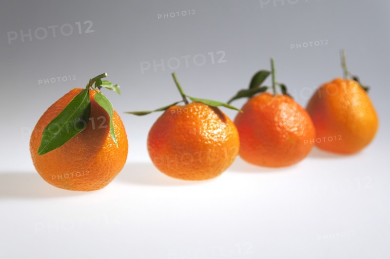 Food, Fruit, Orange, Four fresh Clementine oranges.