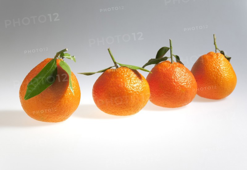 Food, Fruit, Orange, Four fresh Clementine oranges.