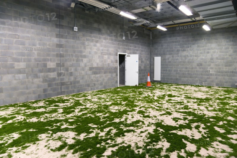 Ireland, County Dublin, Dublin City, Ballsbridge  Lansdowne Road  Aviva Stadium indoor practice area with artificial grass attached to the changing rooms of the home team.