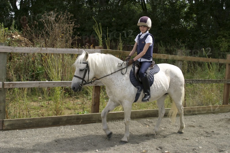 Sport, Equestrian, Horse Riding, A young girl riding her pony in outdoor sand school.