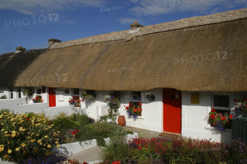 Ireland, Waterford, Dunmore East, View along row of small thatched cottages with red doors and flowers in the gardens
