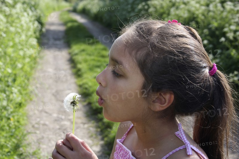 Children, Playing, Outdoor, A nine year old girl blowing dandelion seeds.
