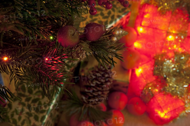 Festivals, Religious, Christmas, Detail of lights and decorations on Nordman Fir tree.