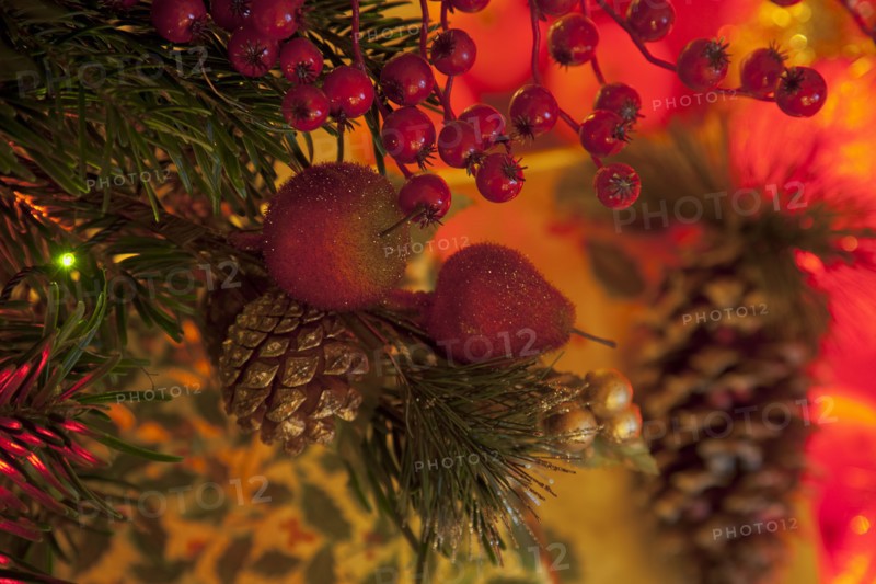Festivals, Religious, Christmas, Detail of lights and decorations on Nordman Fir tree.