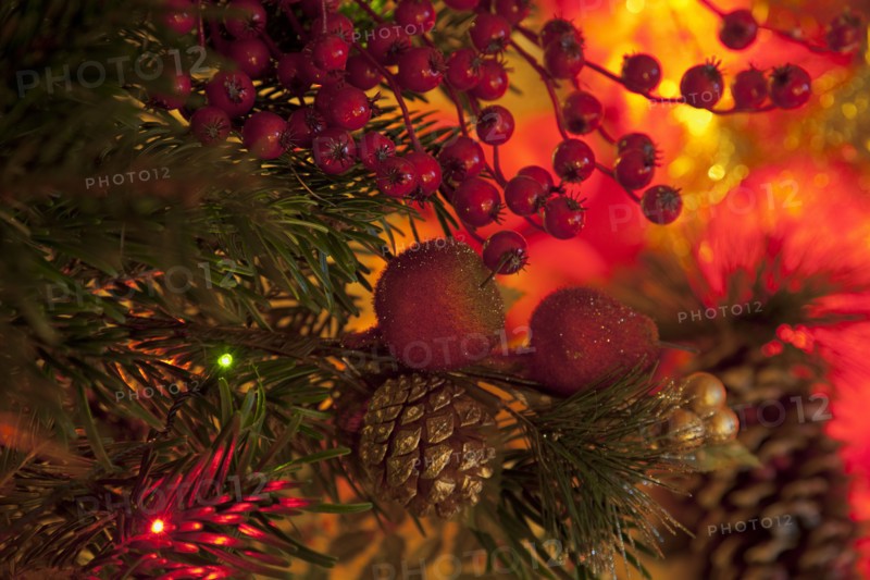 Festivals, Religious, Christmas, Detail of lights and decorations on Nordman Fir tree.