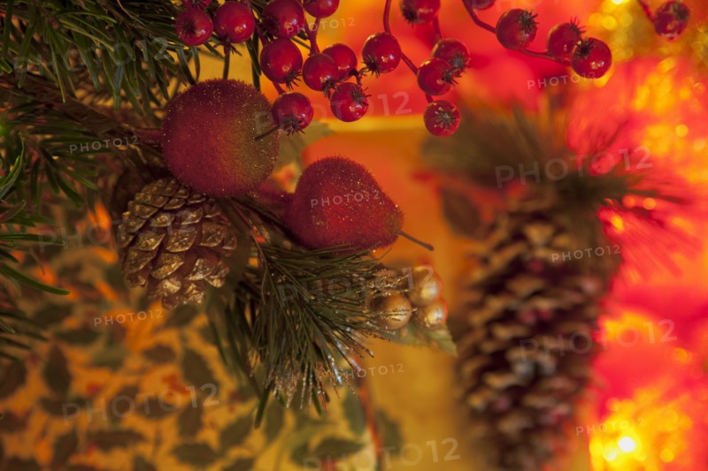 Festivals, Religious, Christmas, Detail of lights and decorations on Nordman Fir tree.