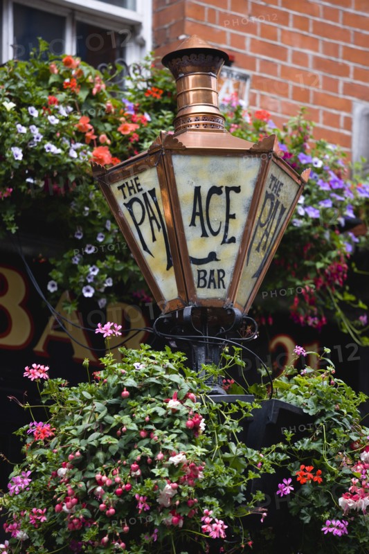 Ireland, County Dublin, Dublin City, Old copper gas lamp and flowers in hanging baskets outside the Palace Bar.