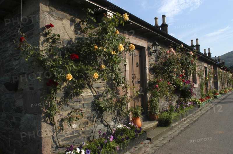 Scotland, Argyll and Bute, Luss, Row of cottages with roses growing up the stone walls