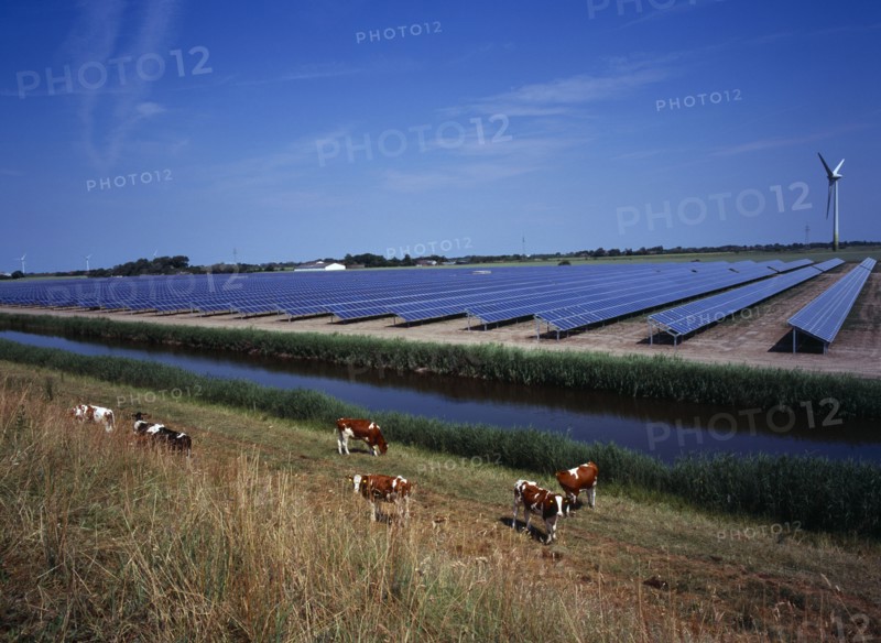 Germany, Schleswig -Holstein, Environment, Field of solar panels on the north-west coast with cattle grazing beside a dyke.