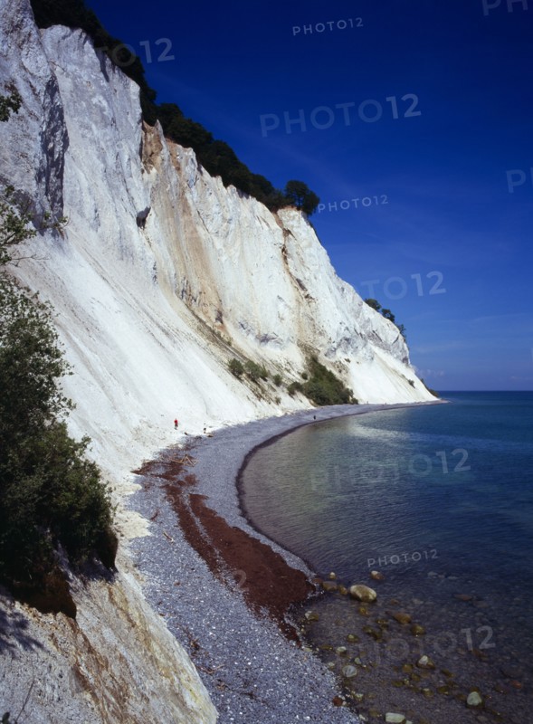 Denmark, Isle of Mon, Mons Klint, East facing chalk sea cliffs with flintstone beach.  Blue sky with high windswept clouds above.