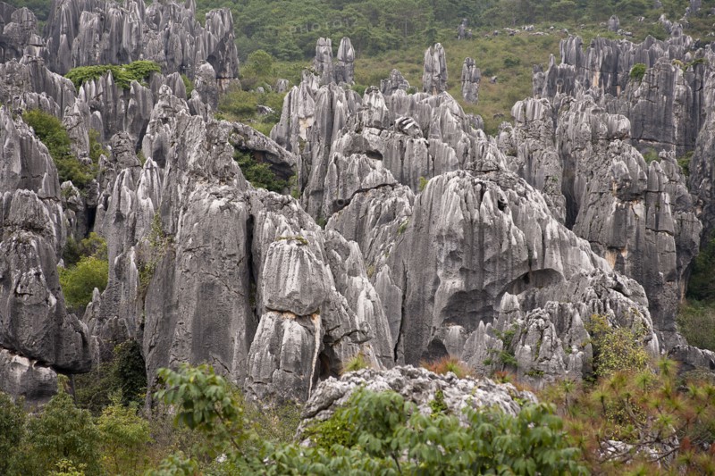 Stone Forest Shilin Yi near Lunan and Kunming. Photo: Mel Longhurst
