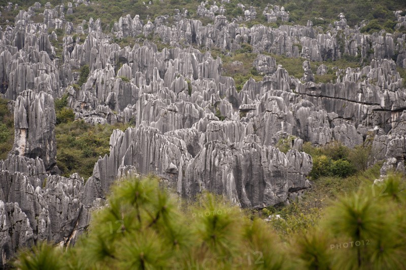 Stone Forest Shilin Yi near Lunan and Kunming. Photo : Mel Longhurst