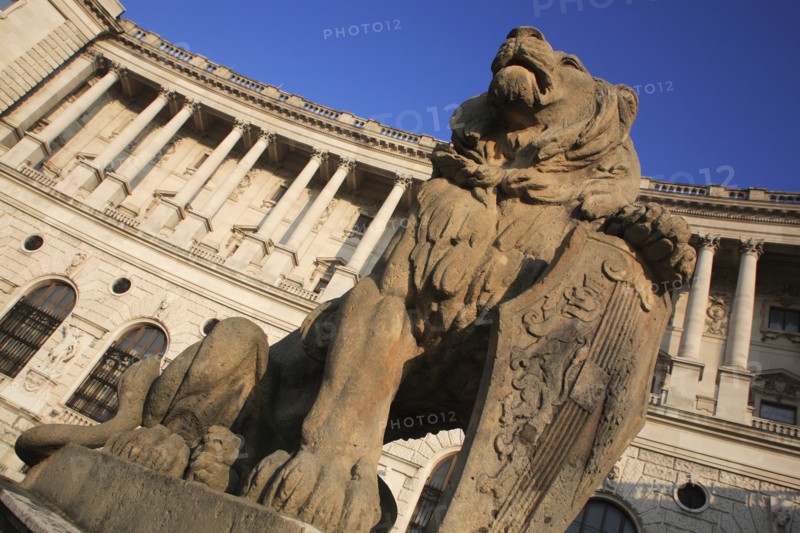 Leonine statue in front of the Hofburg Palace. Photo : Bennett Dean