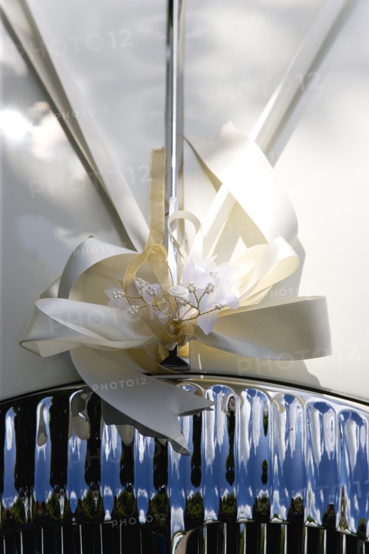 Cream ribbon tied in bow on bonnet of vintage white Daimler wedding car. Photo : Paul Seheult