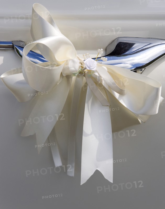 Cream ribbon tied in bow on door handle of vintage white Daimler wedding car. Photo : Paul Seheult