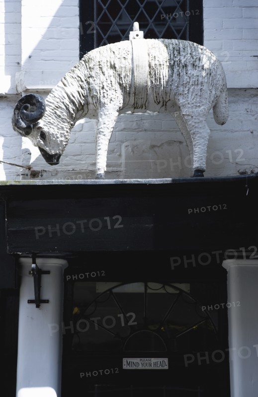Old figure of white ram that was used as a hanging pub sign. Photo: Paul Seheult