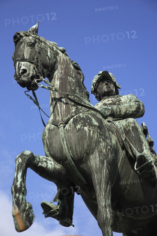 Equestrian statue of Archduke Albert Duke of Teschen. Photo : Bennett Dean