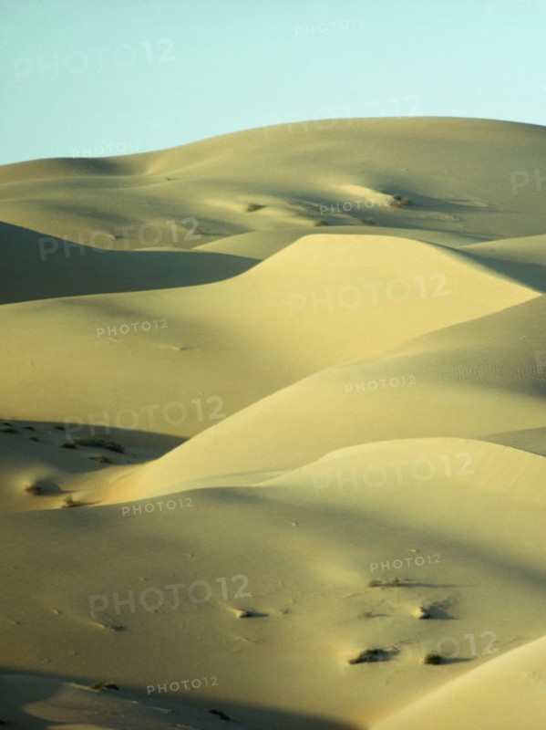Saudi Arabia, General, Desert landscape with sand dunes. 
Photo : Robin Constable